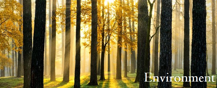 Want to write? You’re invited !!